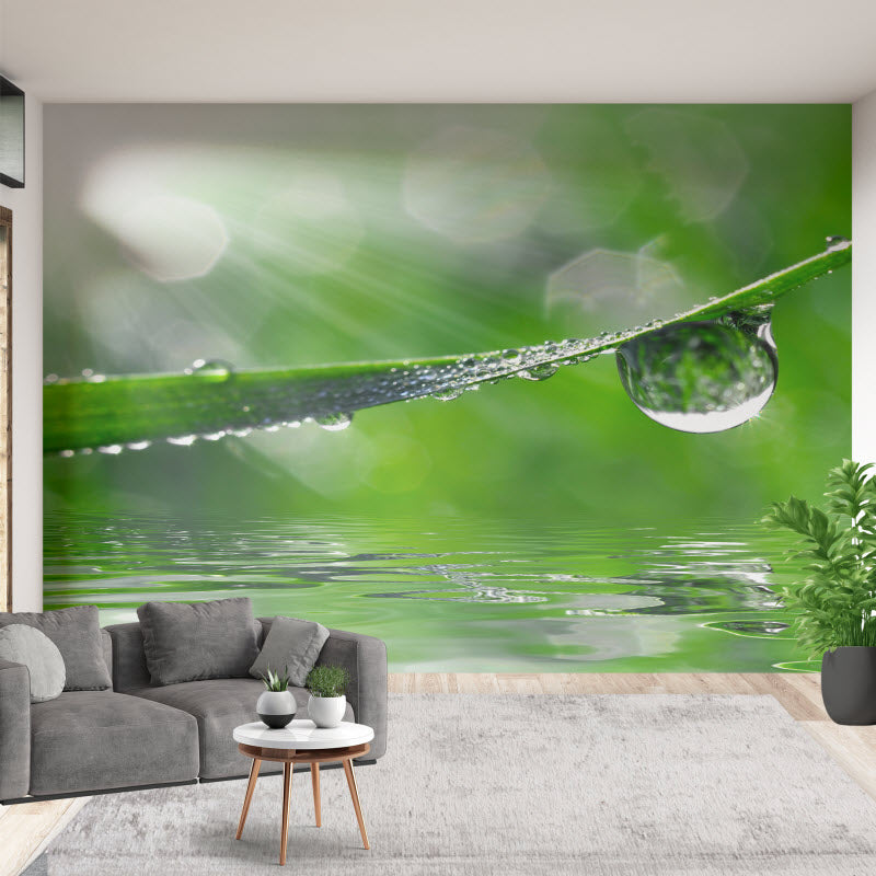 Tapete mit Motiv: Wassertropfen auf Gras