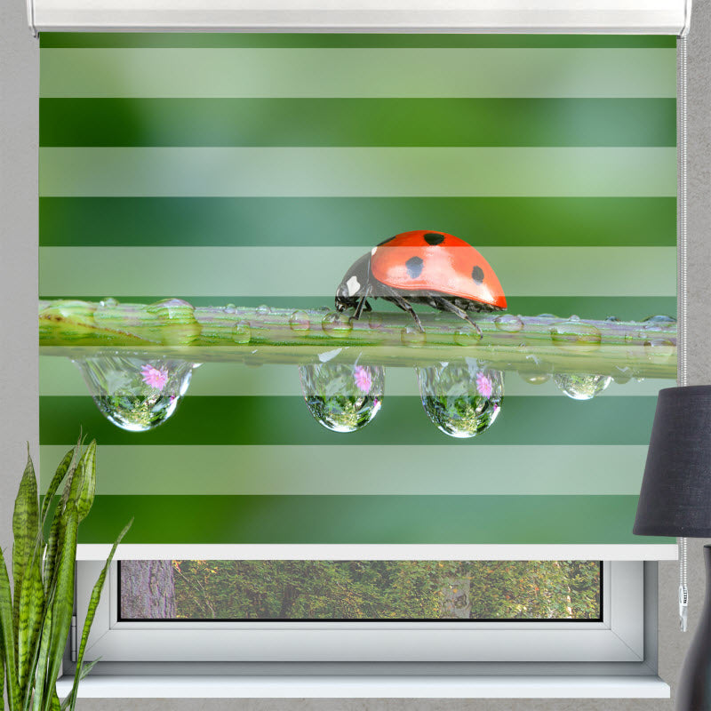 Doppelrollo mit Motiv: Marienkäfer auf der Pflanze