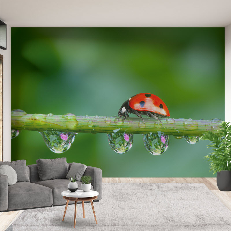 Tapete mit Motiv: Marienkäfer auf der Pflanze