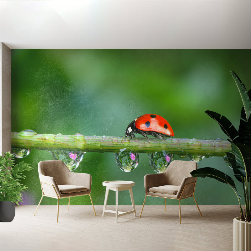 Tapete mit Motiv: Marienkäfer auf der Pflanze