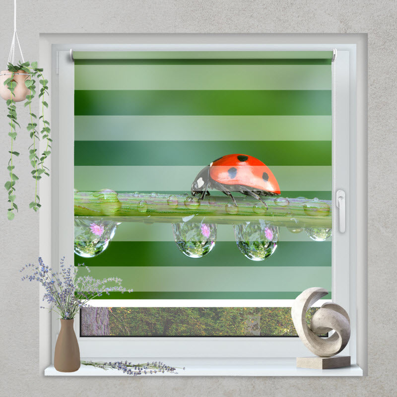 Klemmfix Doppelrollo mit Motiv: Marienkäfer auf der Pflanze