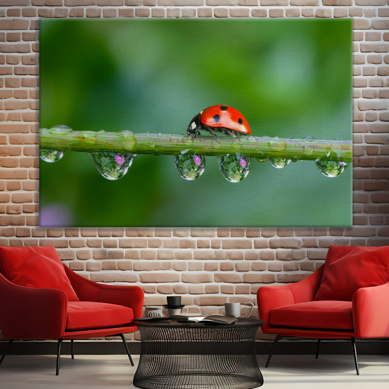 Leinwand mit Motiv: Marienkäfer auf der Pflanze