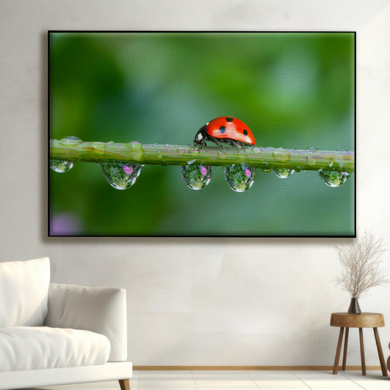 Textilspannrahmen mit Motiv: Marienkäfer auf der Pflanze