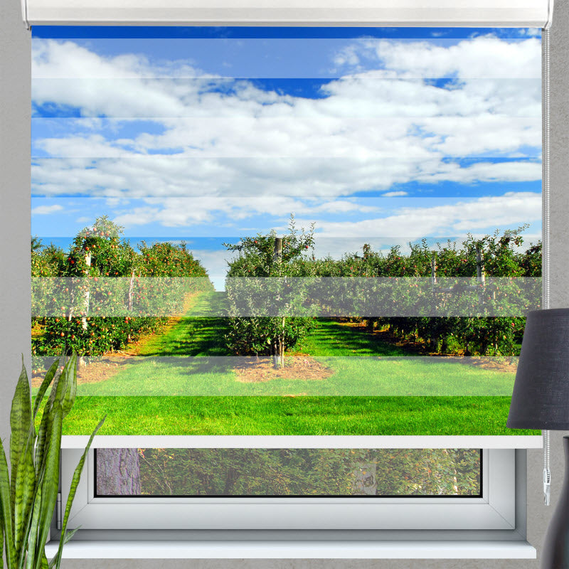 Doppelrollo mit Motiv: Apfelplantage