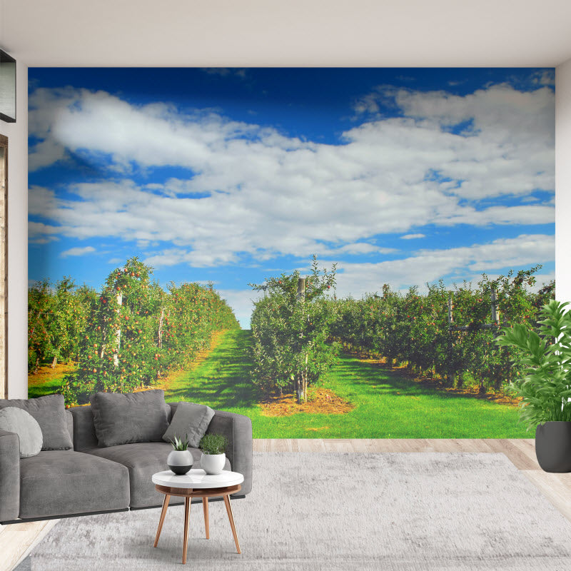 Tapete mit Motiv: Apfelplantage