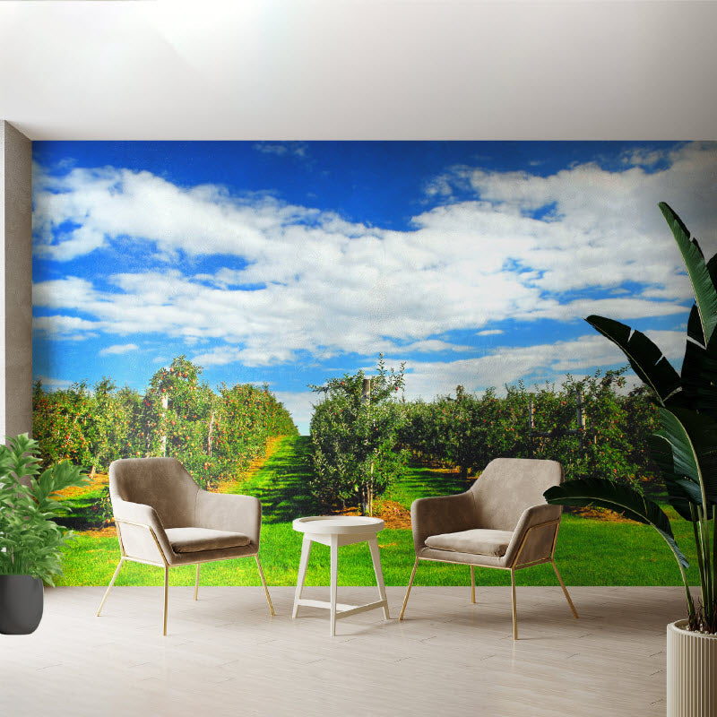 Tapete mit Motiv: Apfelplantage