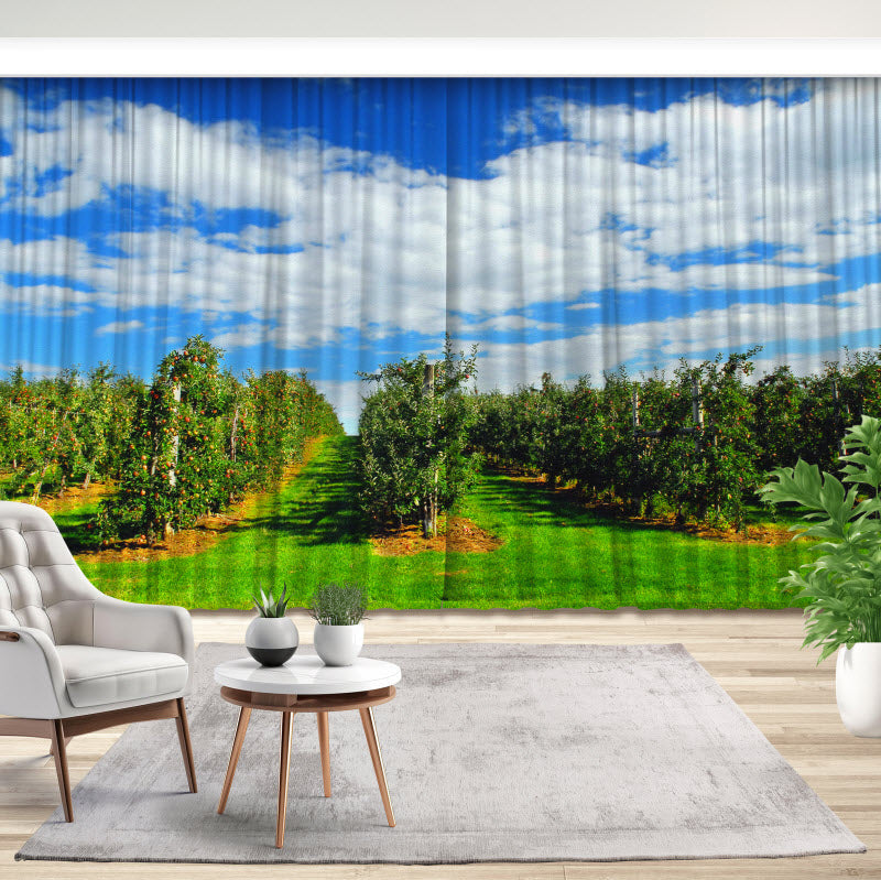 Fotovorhang: Apfelplantage