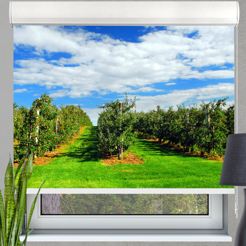 Kassettenrollo mit Motiv: Apfelplantage