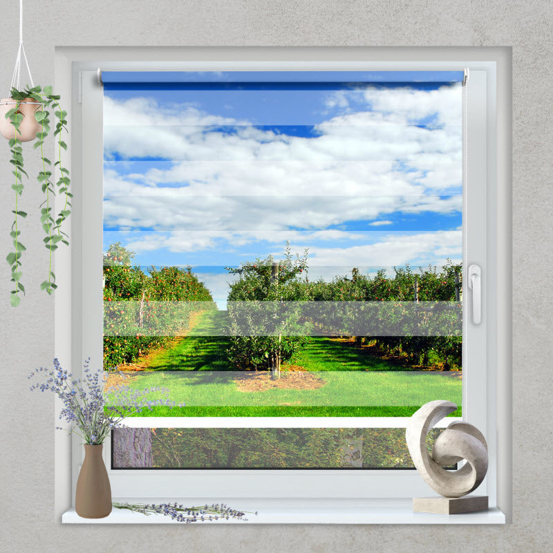 Foto Klemmfix Doppelrollo "Apfelplantage"