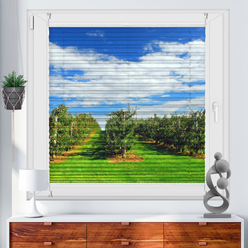 Wabenplissee mit Motiv: Apfelplantage