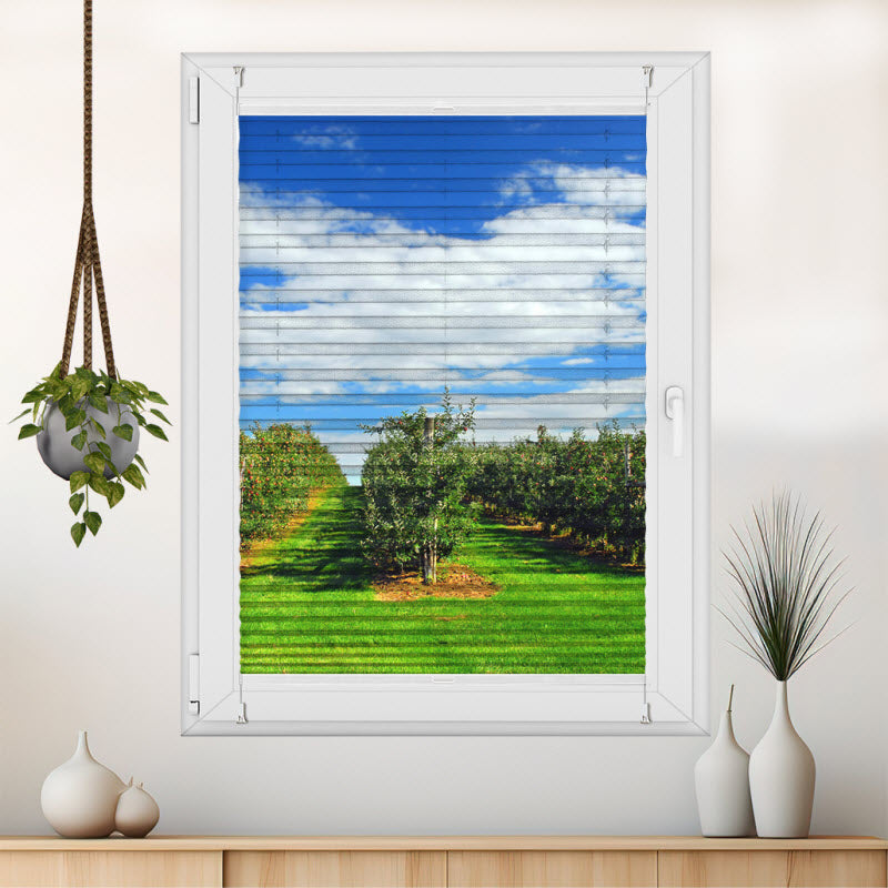 Wabenplissee mit Motiv: Apfelplantage