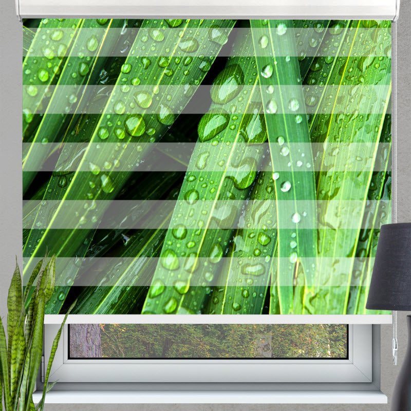 Doppelrollo mit Motiv: Wassertropfen auf grünen Blättern