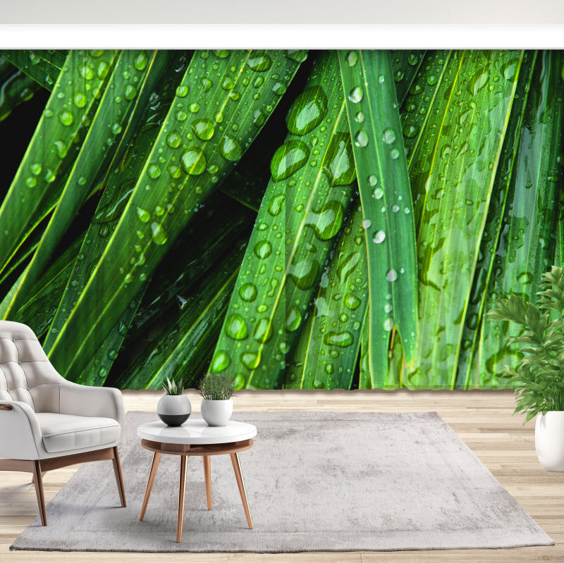 Fotovorhang: Wassertropfen auf grünen Blättern