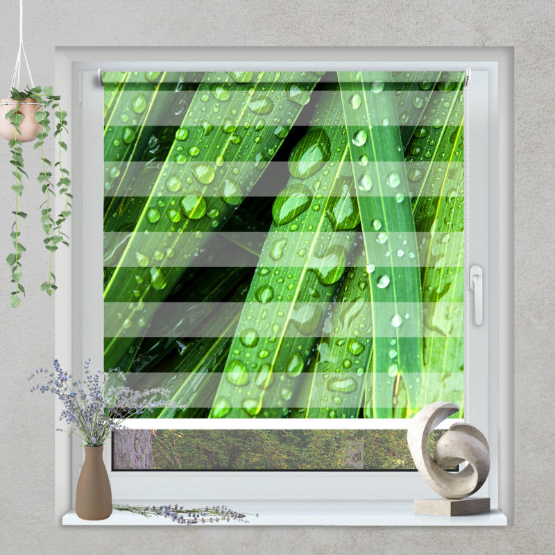 Klemmfix Doppelrollo mit Motiv: Wassertropfen auf grünen Blättern