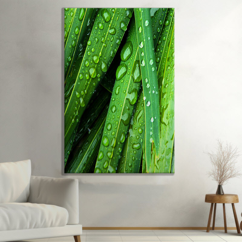 Leinwand mit Motiv: Wassertropfen auf grünen Blättern
