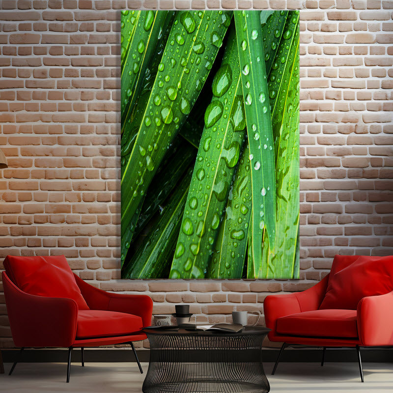 Leinwand mit Motiv: Wassertropfen auf grünen Blättern