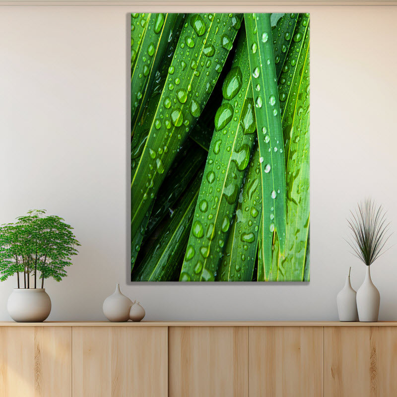 Leinwand mit Motiv: Wassertropfen auf grünen Blättern