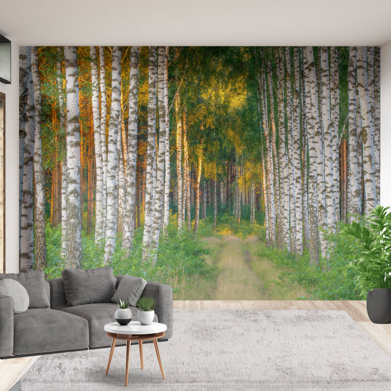 Tapete mit Motiv: Fußweg im Wald