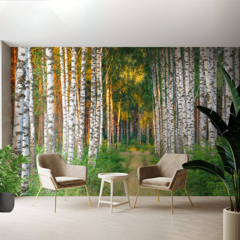 Tapete mit Motiv: Fußweg im Wald