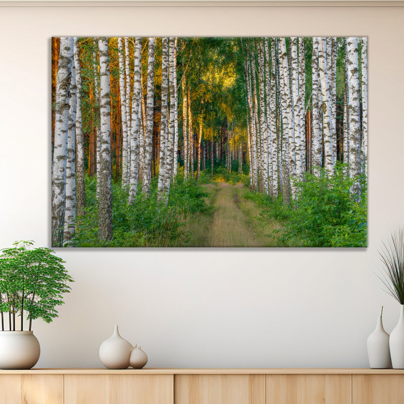 Leinwand mit Motiv: Fußweg im Wald