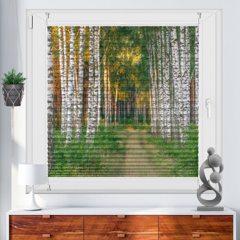 Wabenplissee mit Motiv: Fußweg im Wald