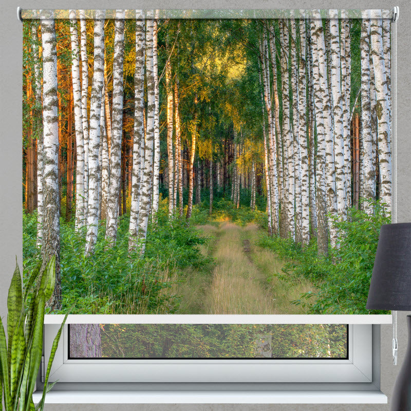Rollo mit Motiv: Fußweg im Wald