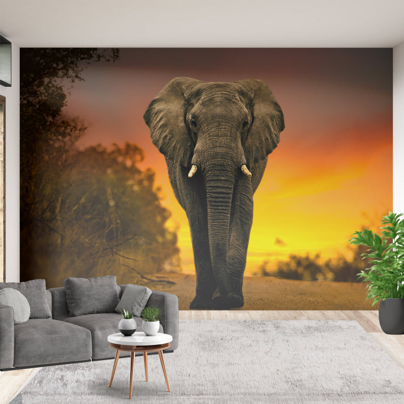 Tapete mit Motiv: Elefant Sonnenuntergang
