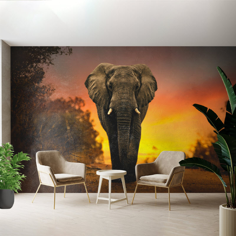 Tapete mit Motiv: Elefant Sonnenuntergang