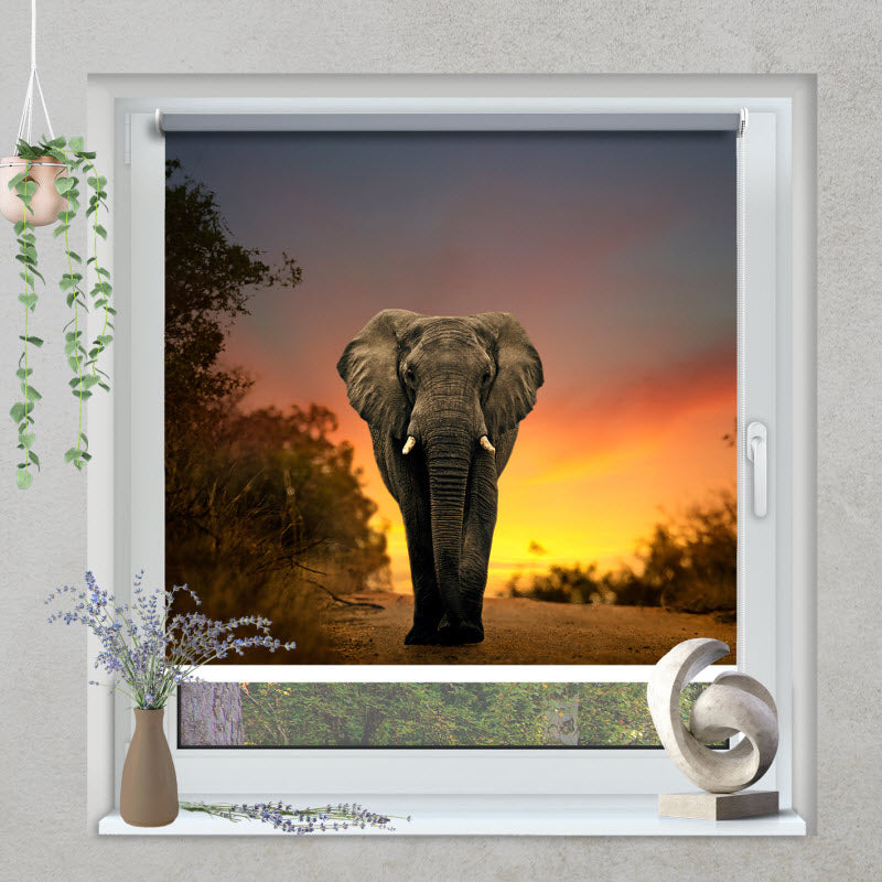 Klemmfix Rollo mit Motiv: Elefant Sonnenuntergang