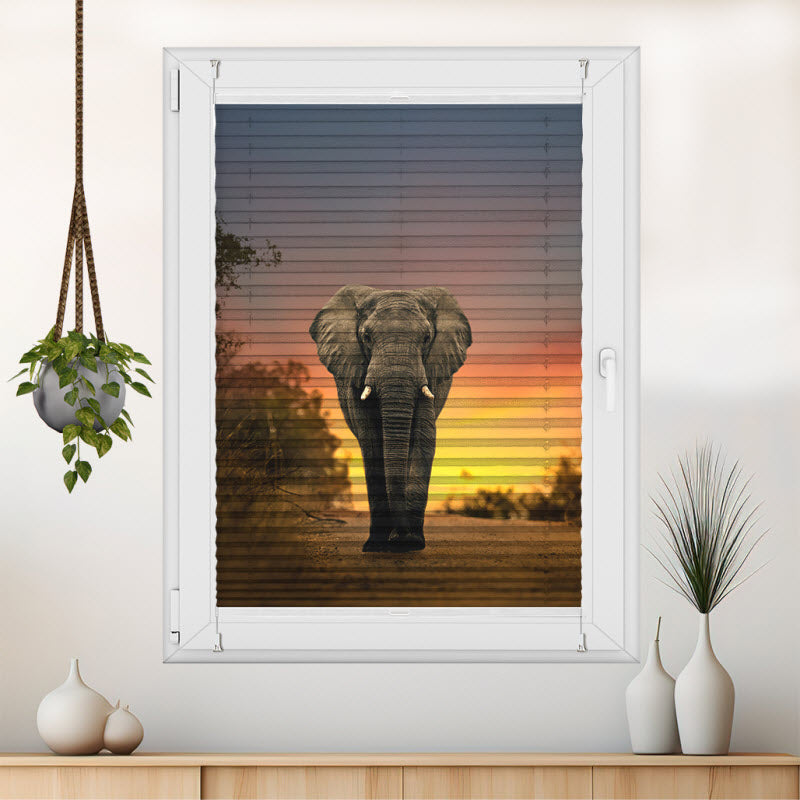 Plissee mit Motiv: Elefant Sonnenuntergang