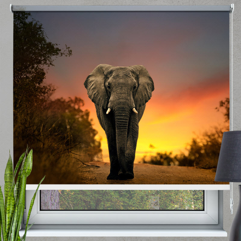 Rollo mit Motiv: Elefant Sonnenuntergang