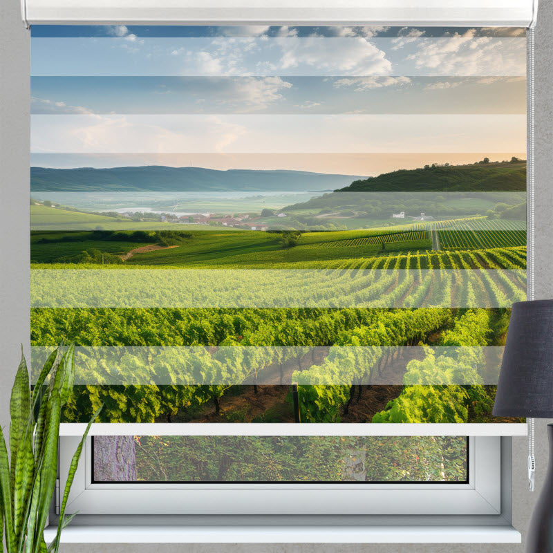 Doppelrollo mit Motiv: Grünes Feld für die Weinlese