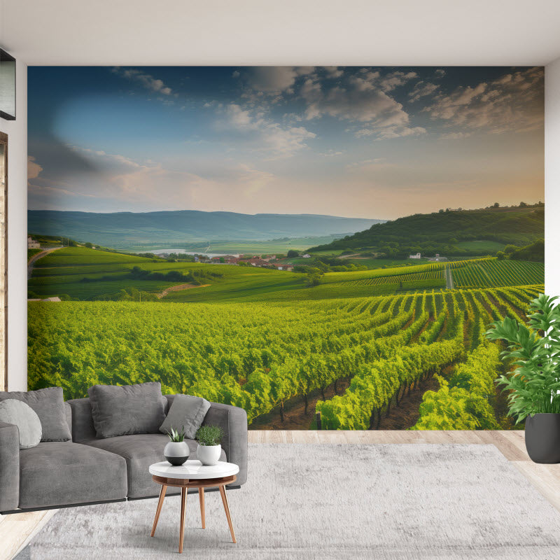 Tapete mit Motiv: Grünes Feld für die Weinlese