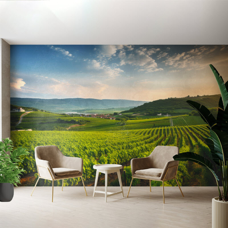 Tapete mit Motiv: Grünes Feld für die Weinlese