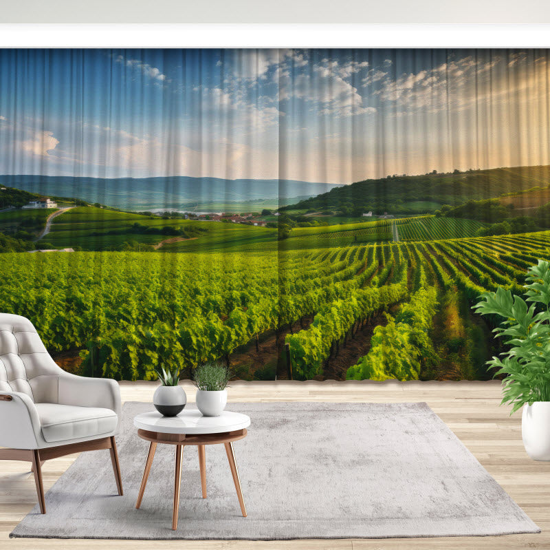 Fotovorhang: Grünes Feld für die Weinlese