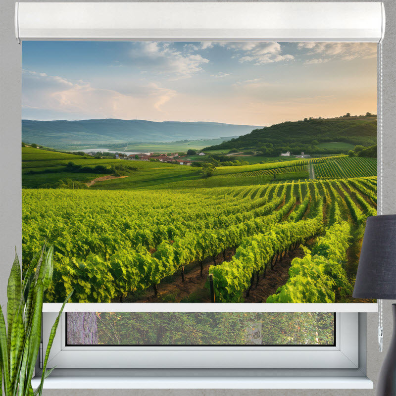 Kassettenrollo mit Motiv: Grünes Feld für die Weinlese