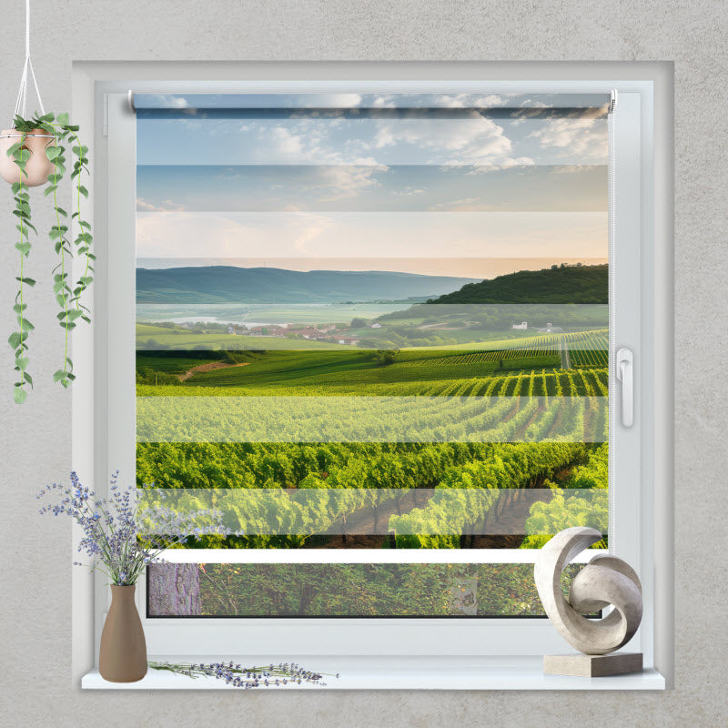 Klemmfix Doppelrollo mit Motiv: Grünes Feld für die Weinlese