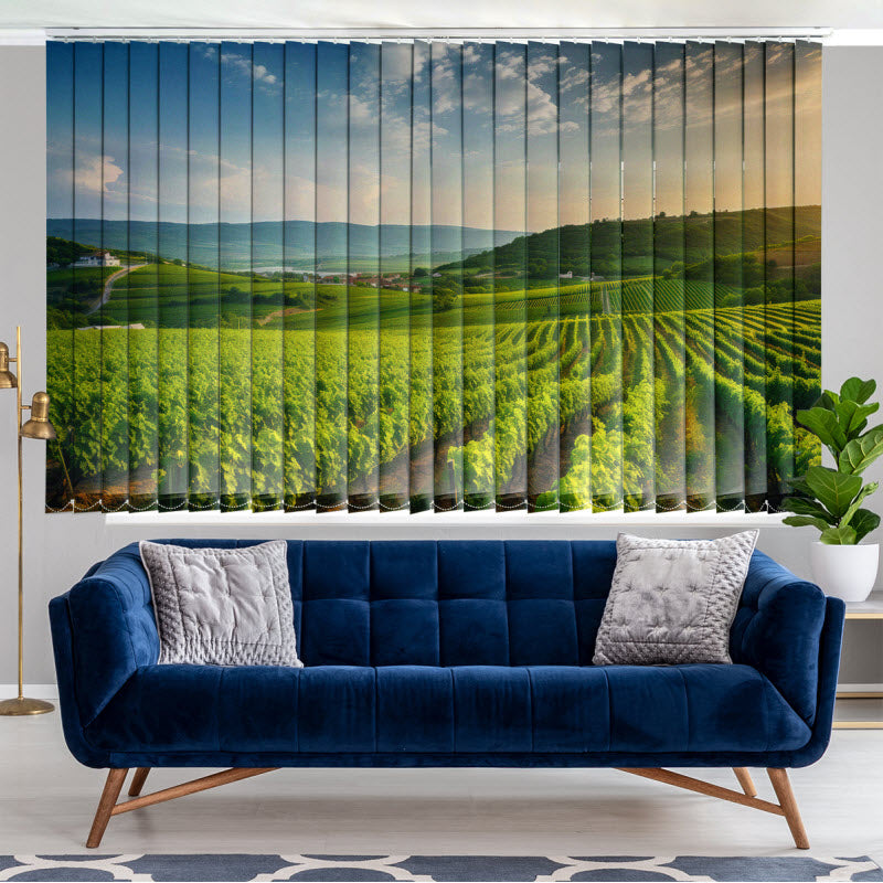 Lamellenvorhang mit Motiv: Grünes Feld für die Weinlese