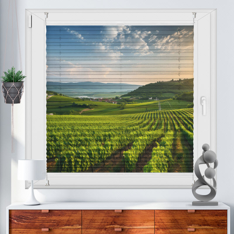 Plissee mit Motiv: Grünes Feld für die Weinlese