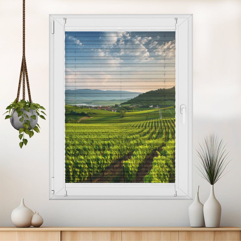 Wabenplissee mit Motiv: Grünes Feld für die Weinlese