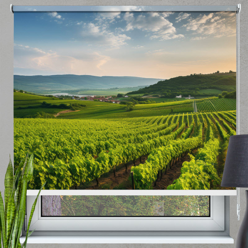 Rollo mit Motiv: Grünes Feld für die Weinlese
