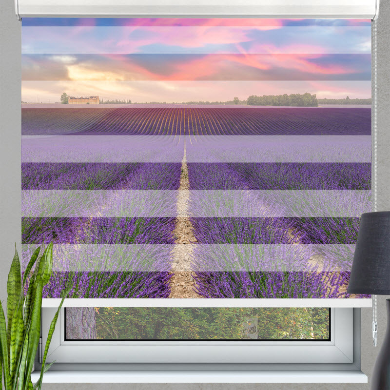 Doppelrollo mit Motiv: Lila Lavendelfeld