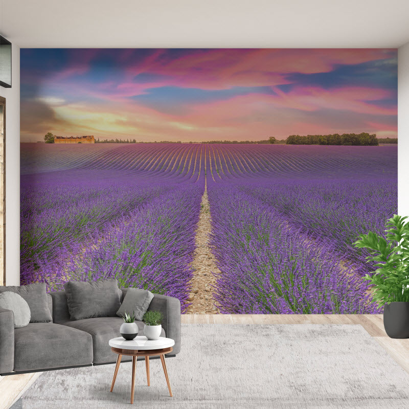 Tapete mit Motiv: Lila Lavendelfeld