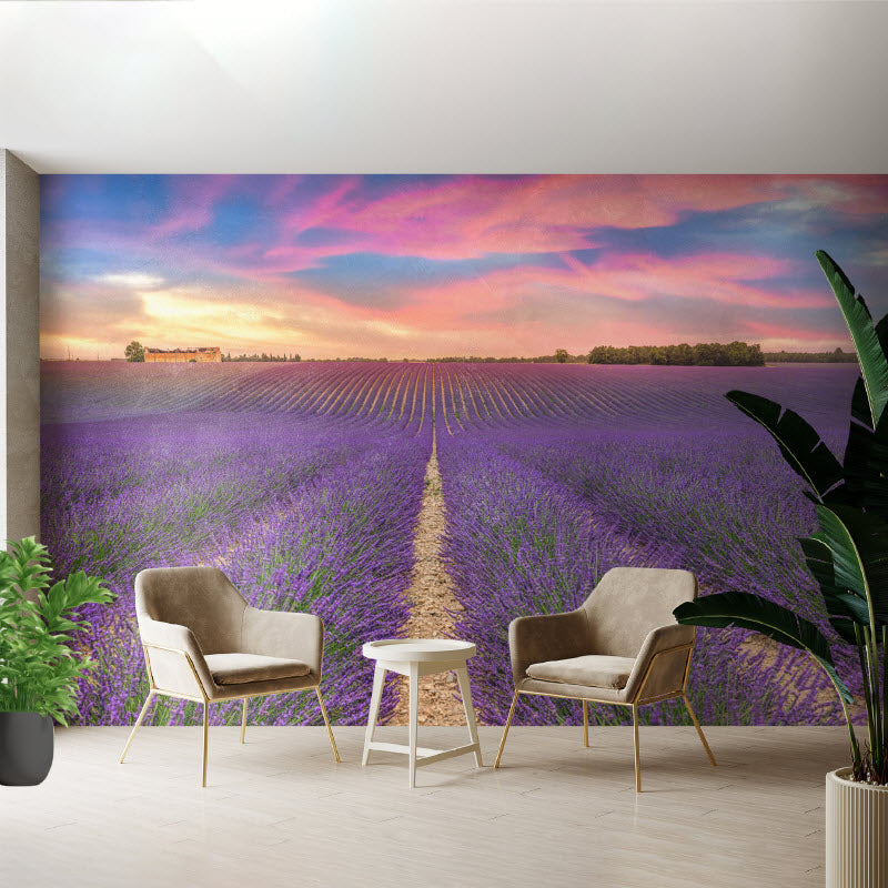 Tapete mit Motiv: Lila Lavendelfeld