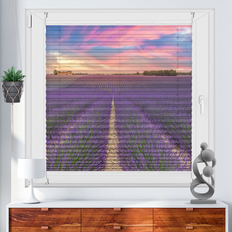 Plissee mit Motiv: Lila Lavendelfeld