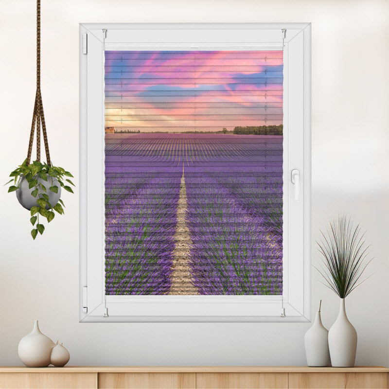 Wabenplissee mit Motiv: Lila Lavendelfeld