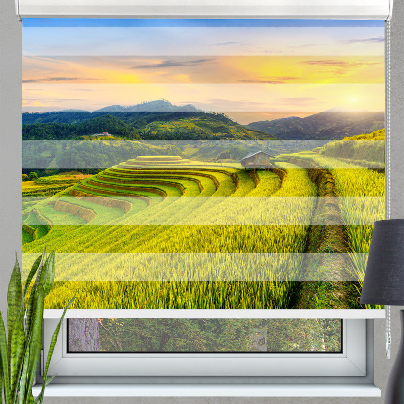 Doppelrollo mit Motiv: Reisfeld