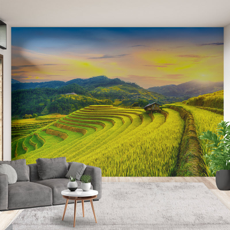 Tapete mit Motiv: Reisfeld