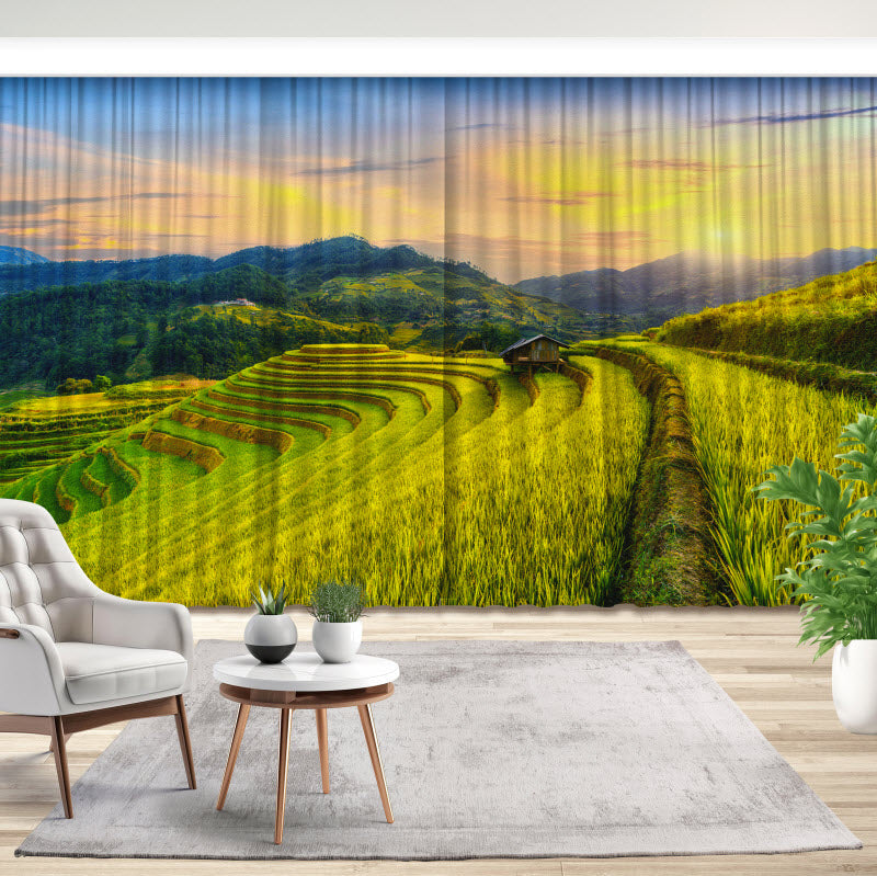 Fotovorhang: Reisfeld