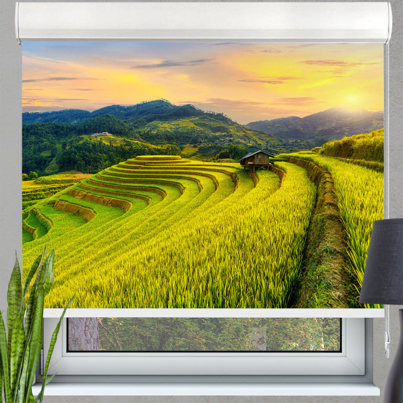 Kassettenrollo mit Motiv: Reisfeld
